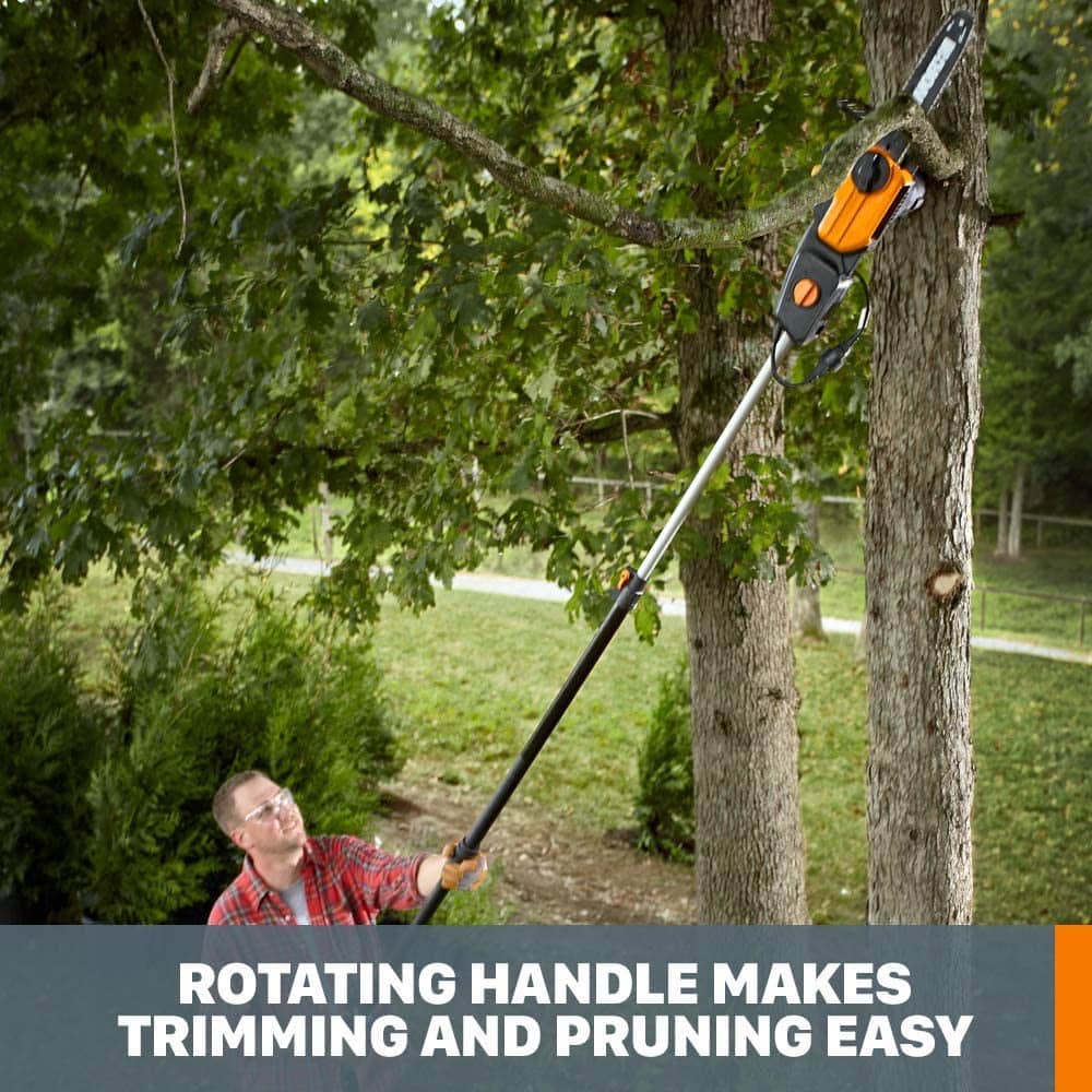 Best Electric Pole Saw Models Online Featured Photo
