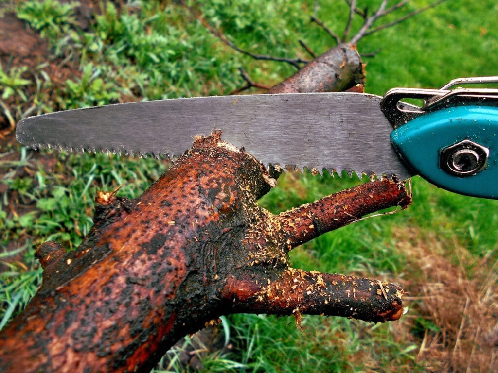 How To Sharpen a Pruning Saw featured photo